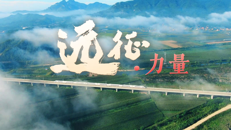&#20048;&#31454;&#23448;&#32593;&#45;&#20048;&#31454;&#40;&#20013;&#22269;&#41;&#19968;&#31449;&#24335;&#20307;&#32946;&#26381;&#21153;